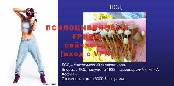 тгк Абаза