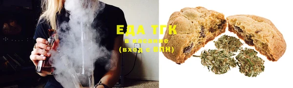 тгк Абаза