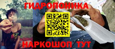 каннабис Кингисепп