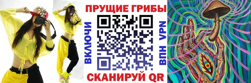 Псилоцибиновые грибы Psilocybine cubensis  площадка клад  Лабытнанги 